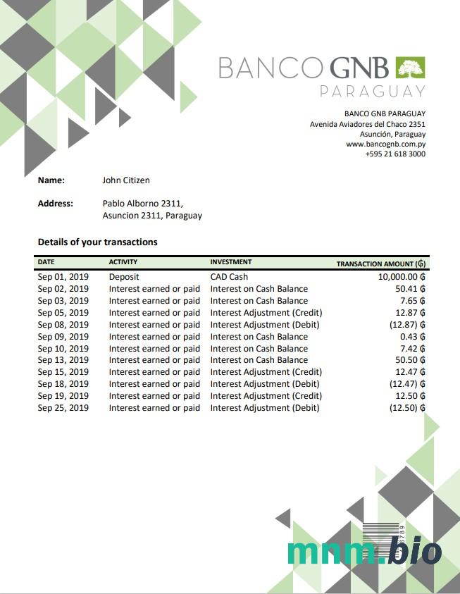 Szablon wyciągu bankowego Paragwaj Banco Amambay w programie Word i PDF